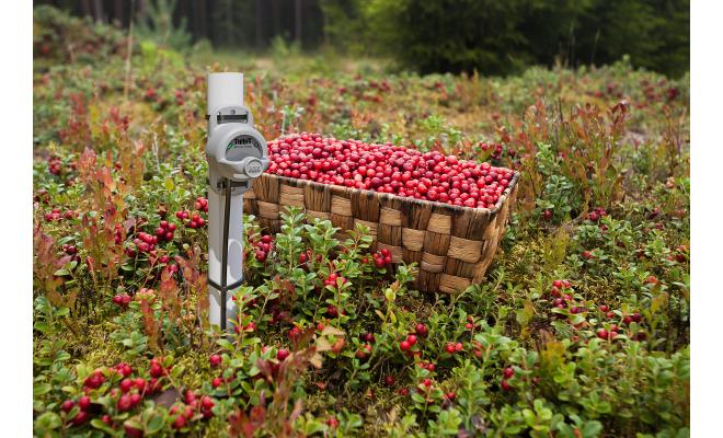 HOBO MX TidbiT Enregistreur de température externe image 4